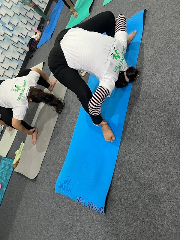 EKANA YOGA STUDIO(only For females)