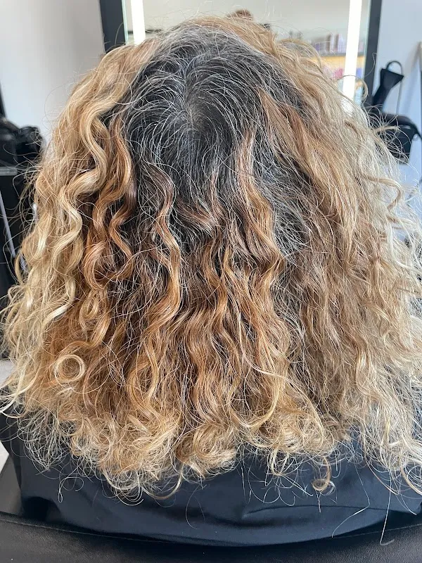 Avenue Salon Beauty & Spa