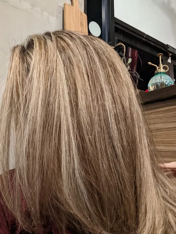 Avenue Salon Beauty & Spa