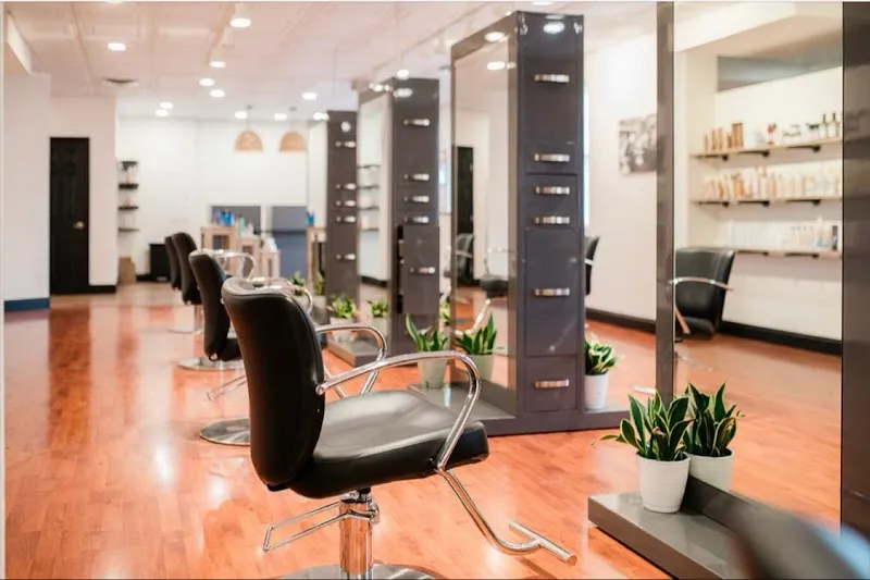Paradigm Salon & Company South