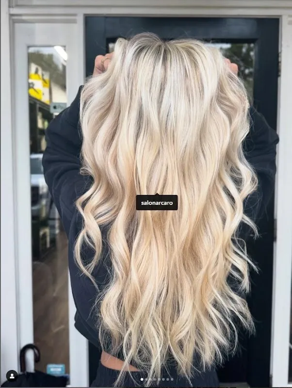 Salon Arcaro- Luxury Hair Salon & Color Studio