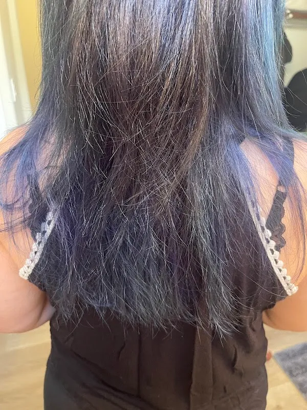 Savante Salon
