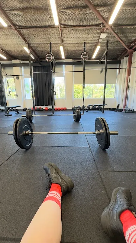 Tone Athletica - Womens Strength & Fitness