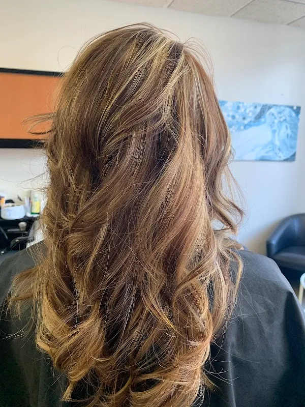 Step Into Style Hair Designs