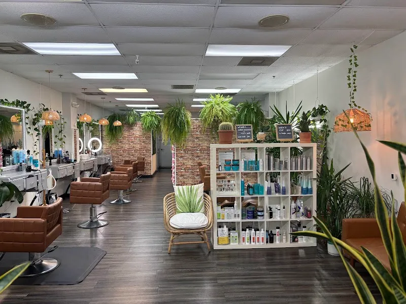 Cactus Salon