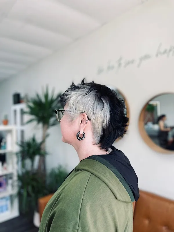Cactus Salon