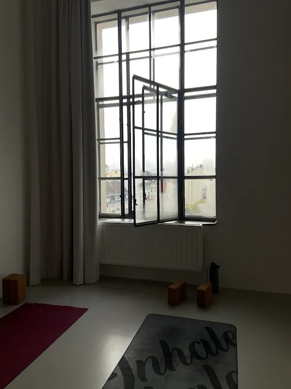 THE WYLD THING - Yoga Pilates Studio 1070