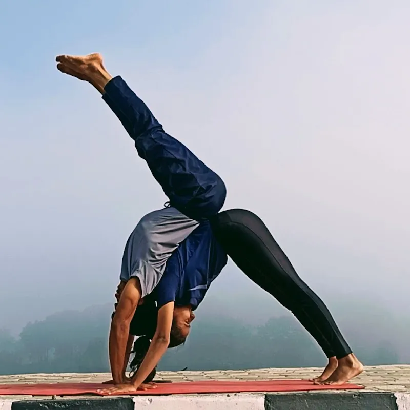 Yogic Yoga Classes