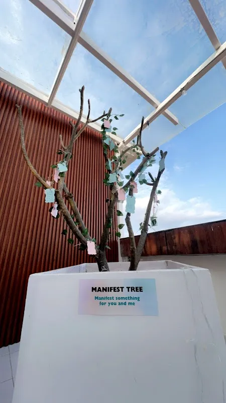 Manifest by TMN