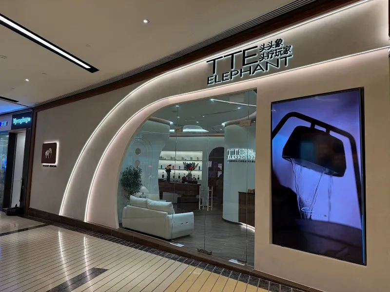 TTE Elephant Head Spa SG