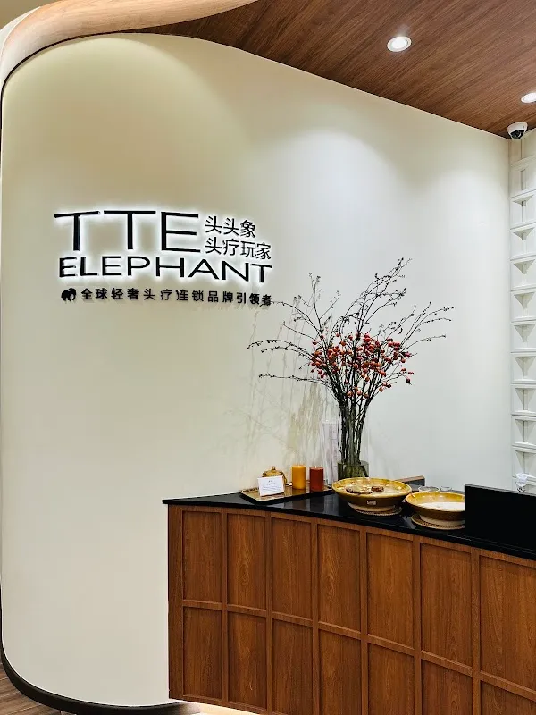 TTE Elephant Head Spa SG