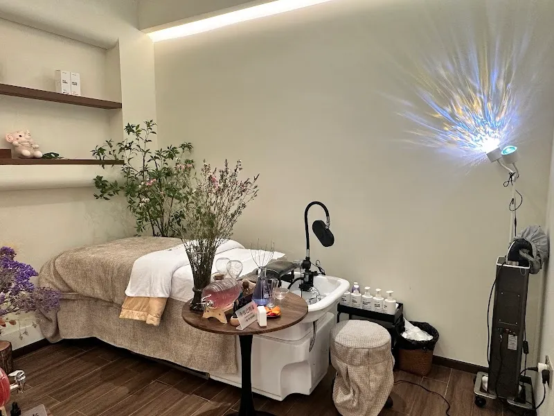 TTE Elephant Head Spa SG