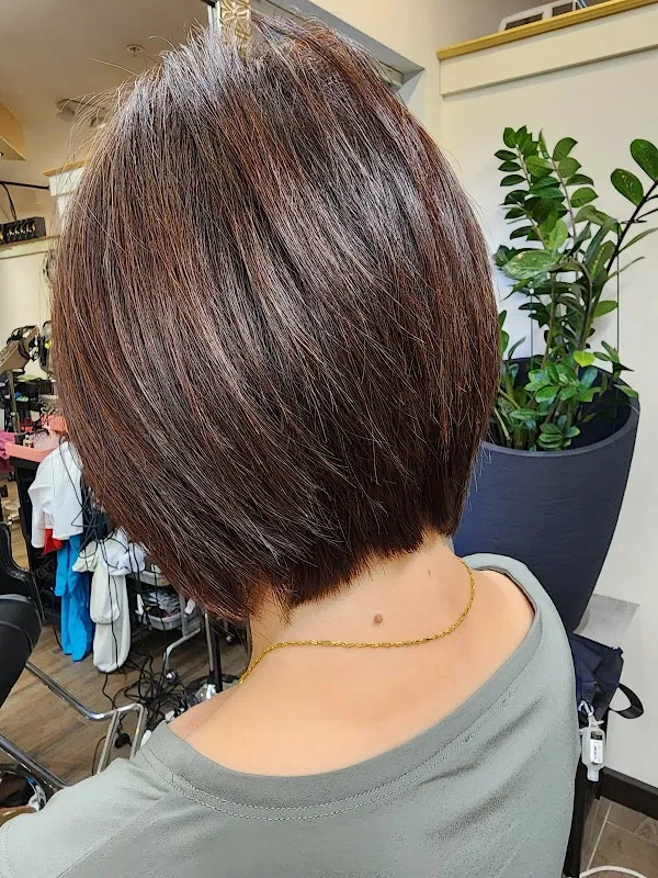 Ellie Hair Salon