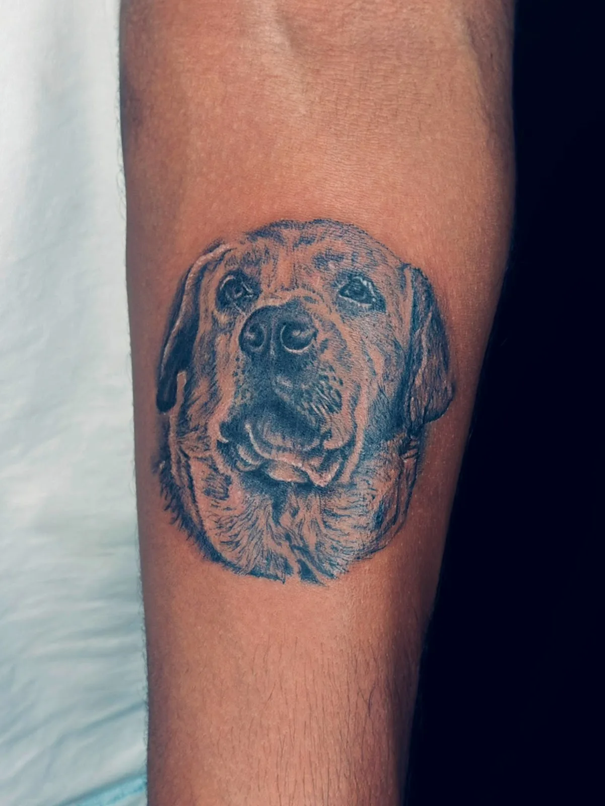 My Lasting Tattoos & Piercing Studio Madhapur