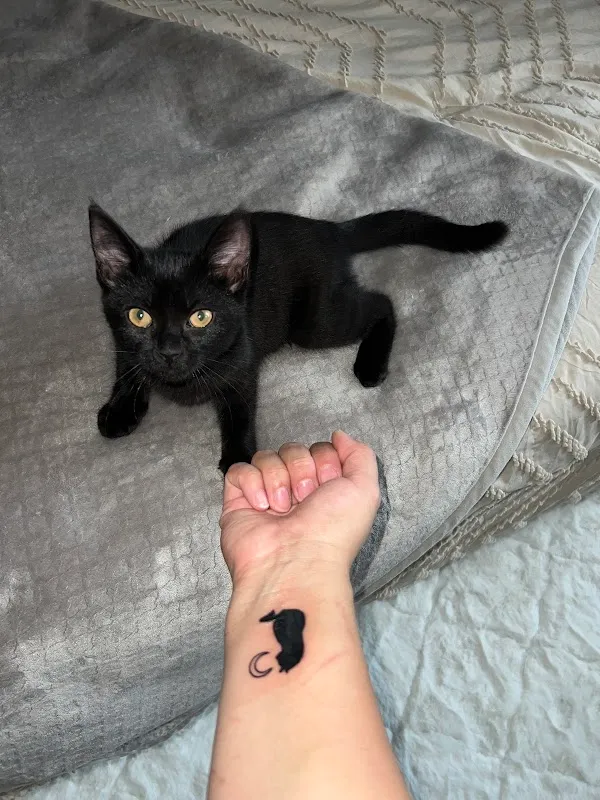 Evil Eye Tattoo