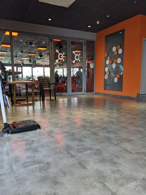 Orangetheory Fitness Marine Drive