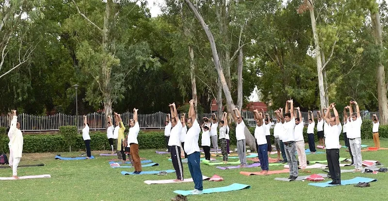 Yogayan - Best Yoga Classes - Yoga Instructor for personal and group classes