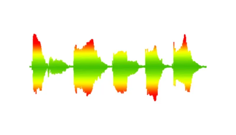 Sound Recordist | Sound Designer