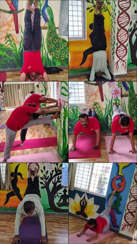 Maharshi Siddhi Yoga Fitness Studio