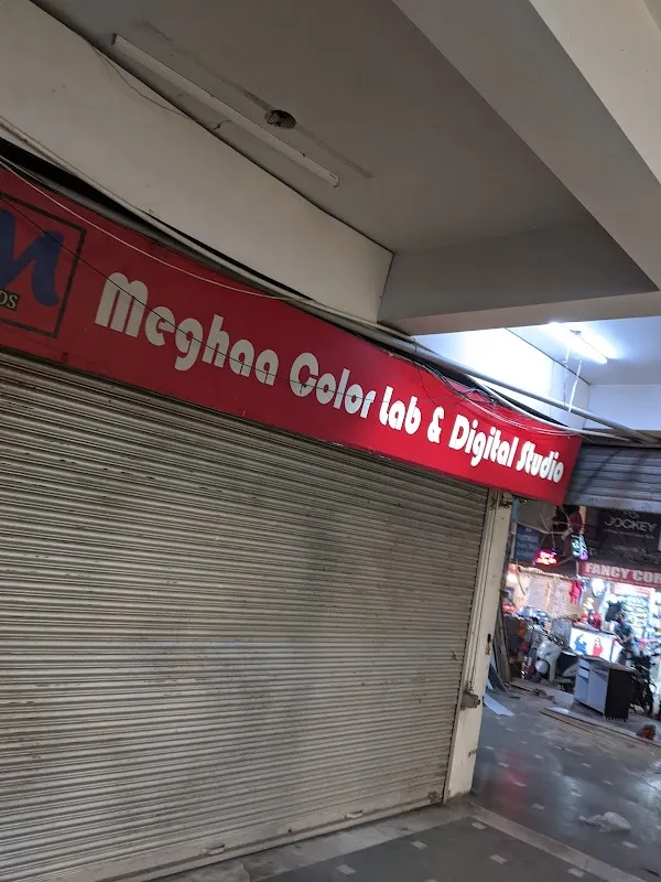 Meghaa Color Lab & Digital Studio