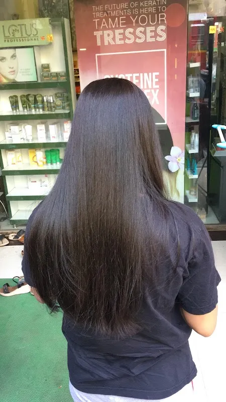 Raj hair art