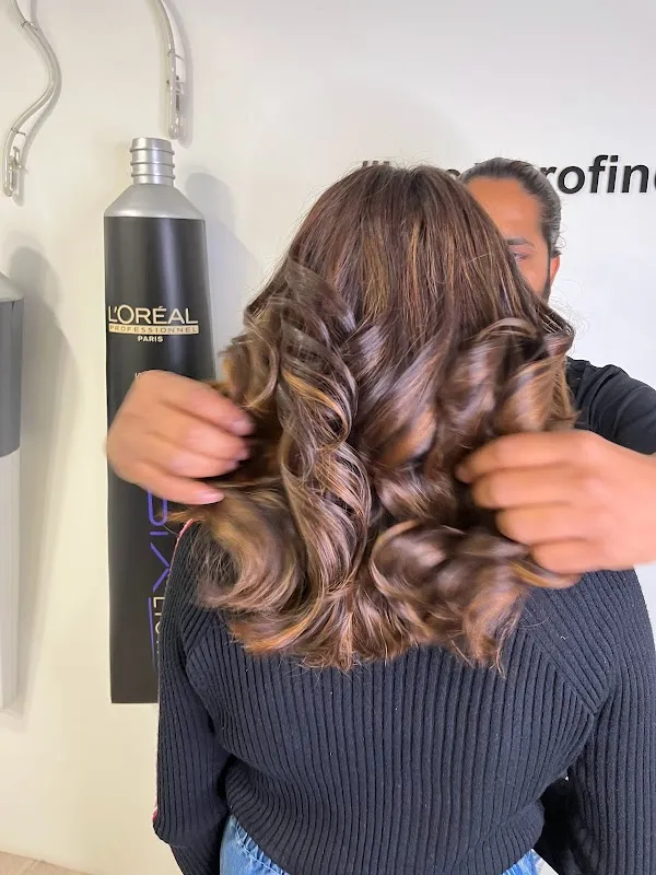 Raj hair art