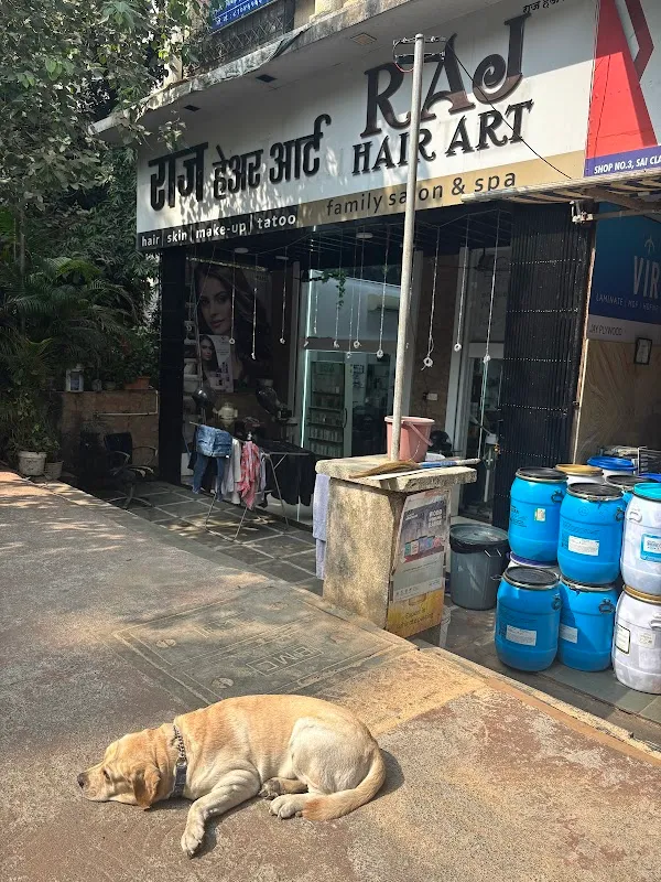 Raj hair art