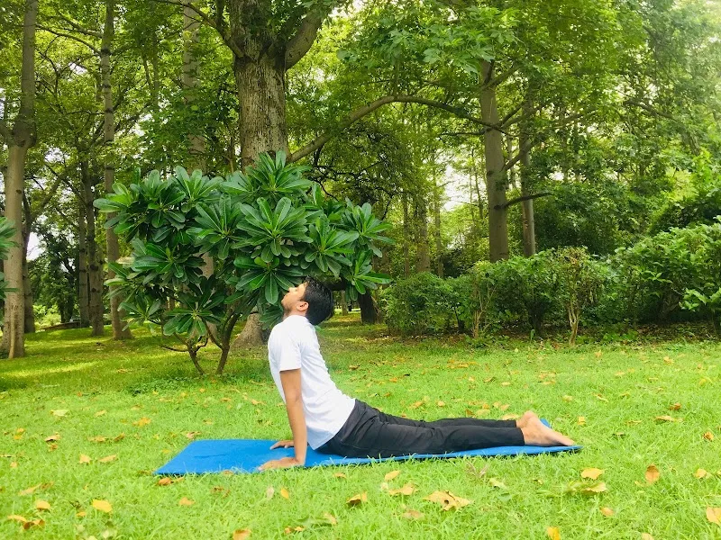Master yoga & Meditation studio