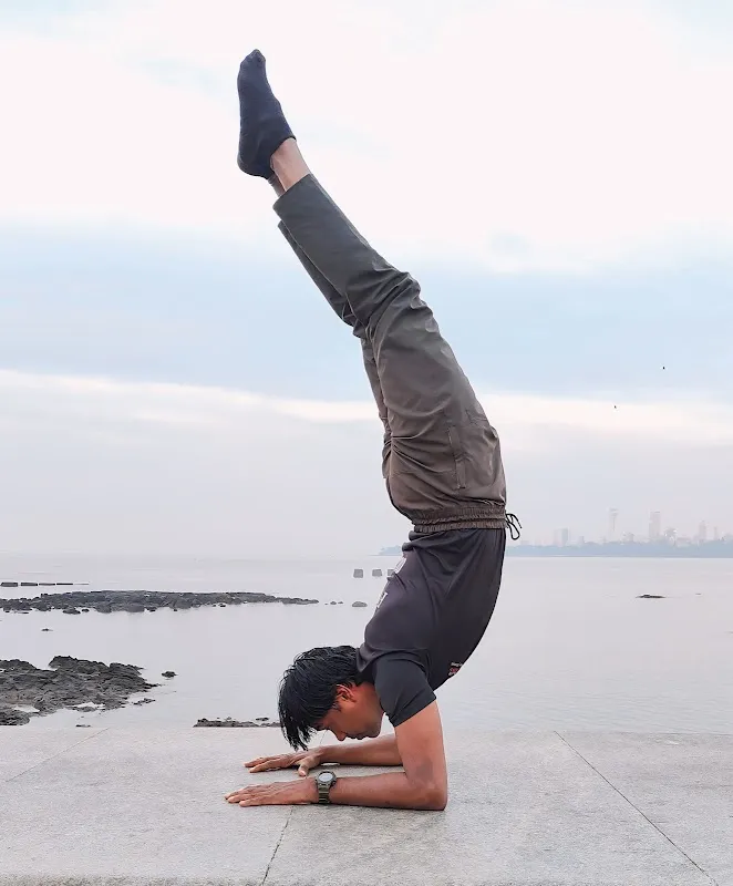The Sameer Fitness