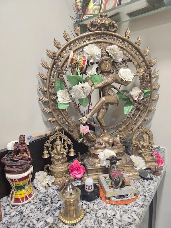 Natraj Academy of Performing Arts Pvt. Ltd.