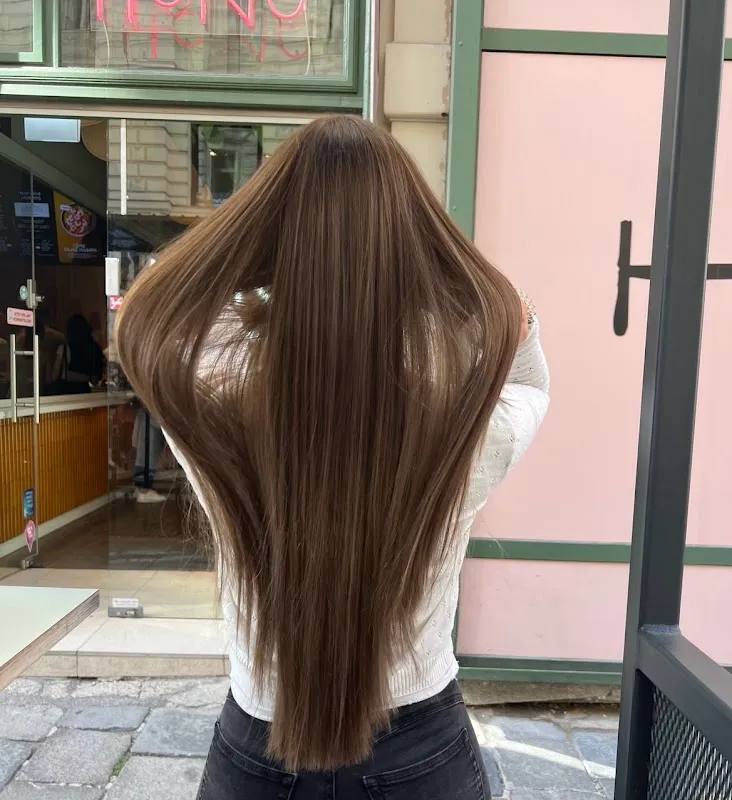 Vienna Hairstyle