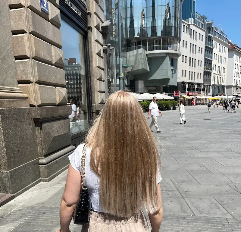 Vienna Hairstyle
