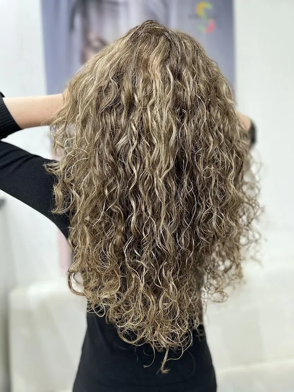 Vienna Hairstyle