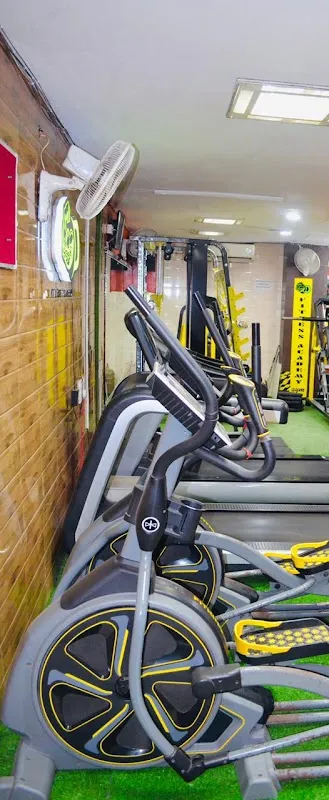 D Fitness Academy