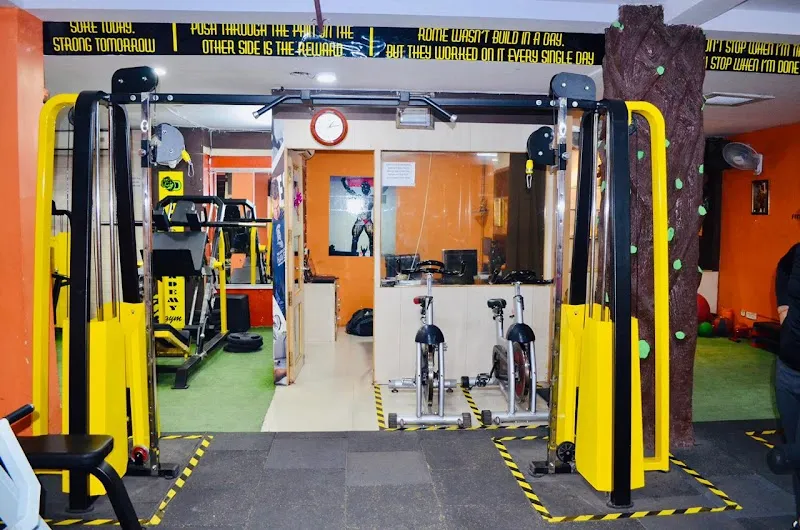 D Fitness Academy