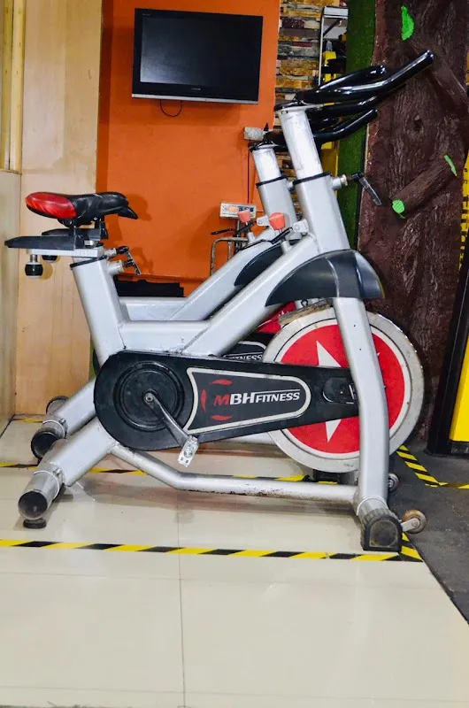 D Fitness Academy