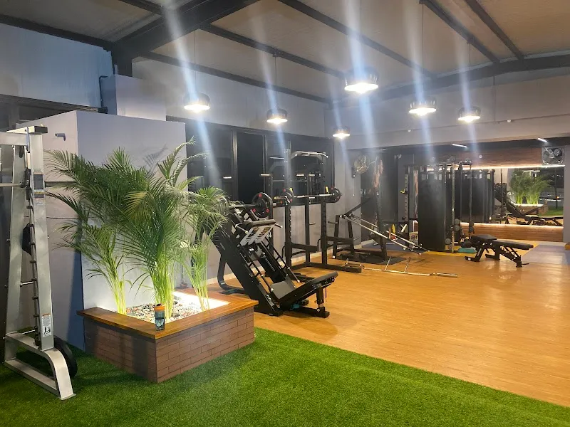Zest Fitness Studio | Best Gym In Hsr Layout | Premium Gym Center