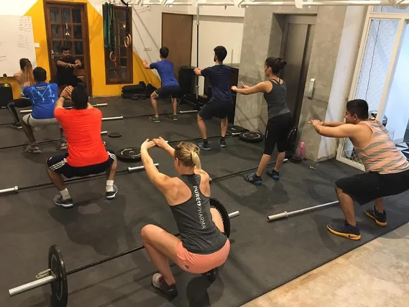 Anatomy Lifestyle Fitness