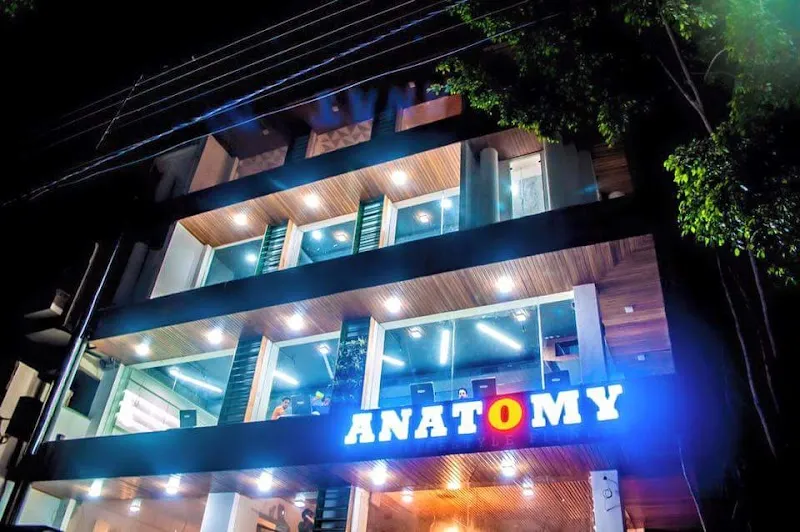 Anatomy Lifestyle Fitness