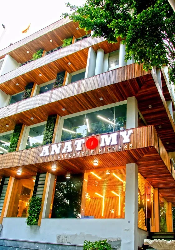 Anatomy Lifestyle Fitness