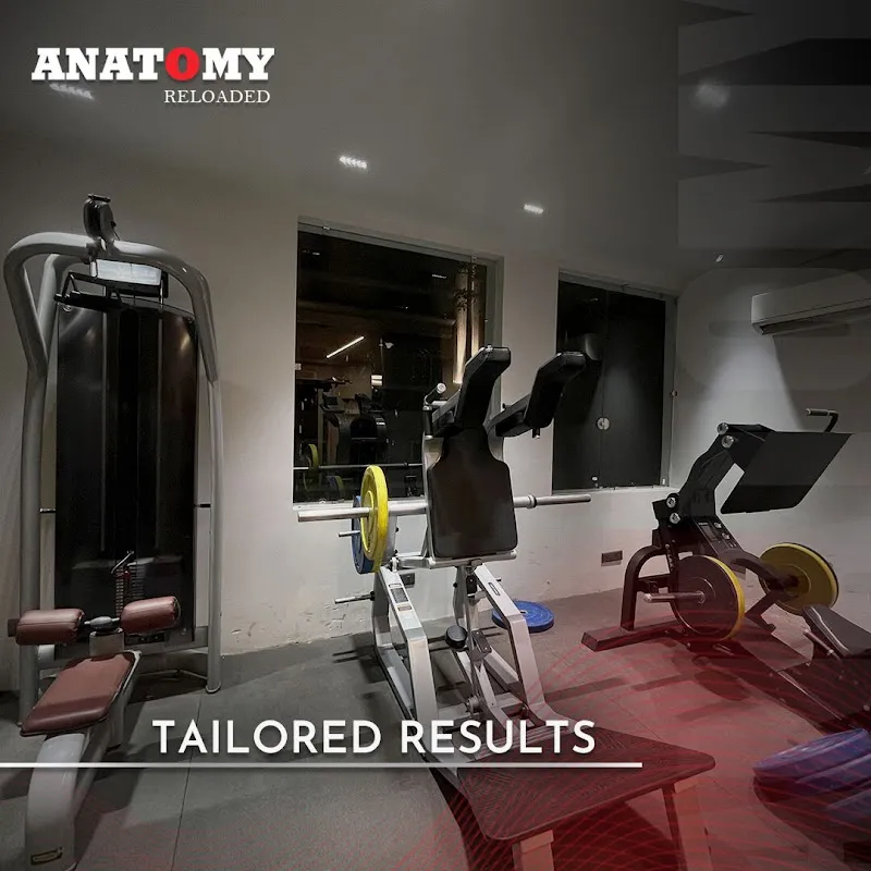 Anatomy Lifestyle Fitness