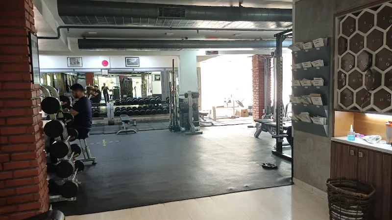 Anatomy Lifestyle Fitness