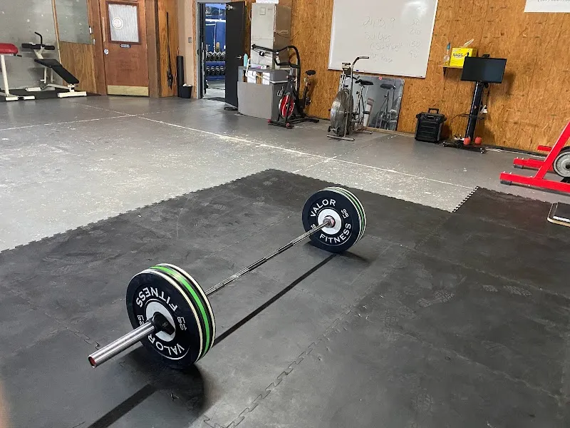 Elite Body Fitness & Nutrition