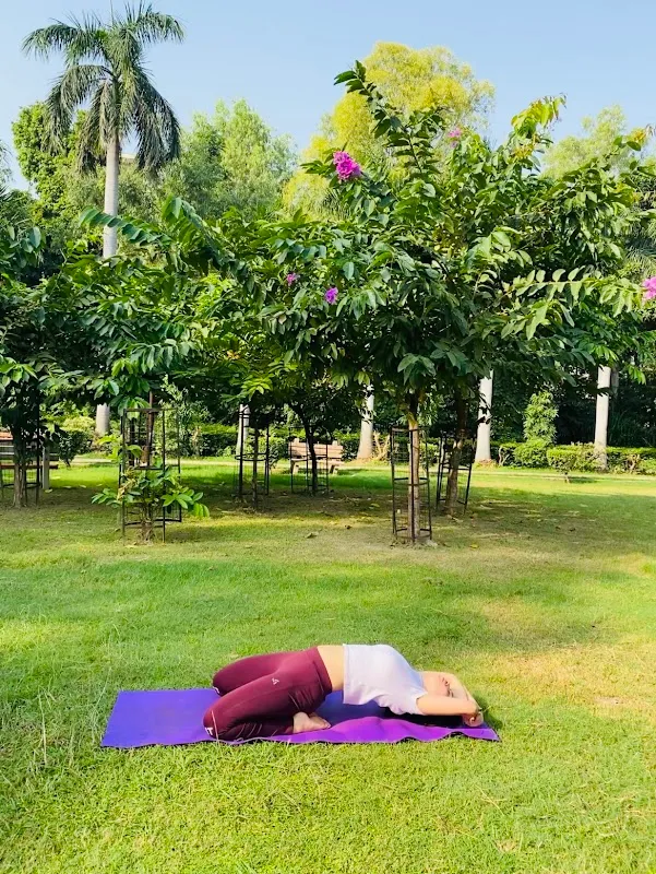 Yog Nirvana Yoga Classes for Home - Yoga Trainer in Model Town, Delhi 110009.