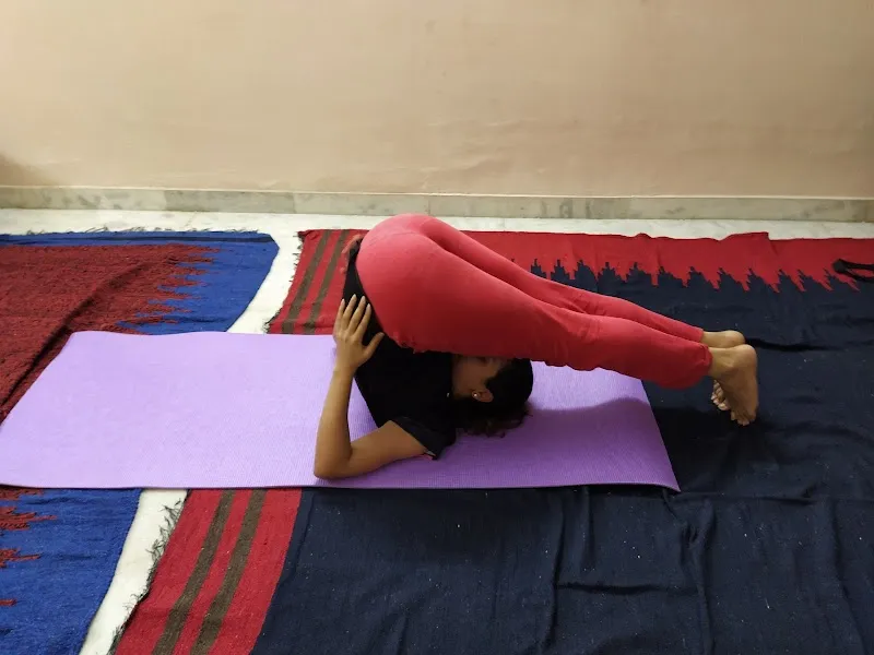 Yog Nirvana Yoga Classes for Home - Yoga Trainer in Model Town, Delhi 110009.