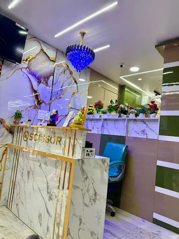 L K Scissor Unisex Salon