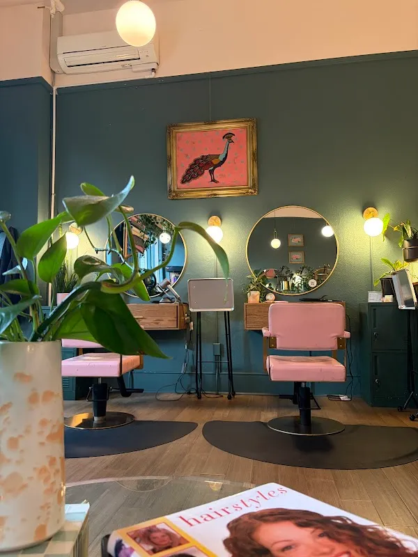 Dreamboat Salon