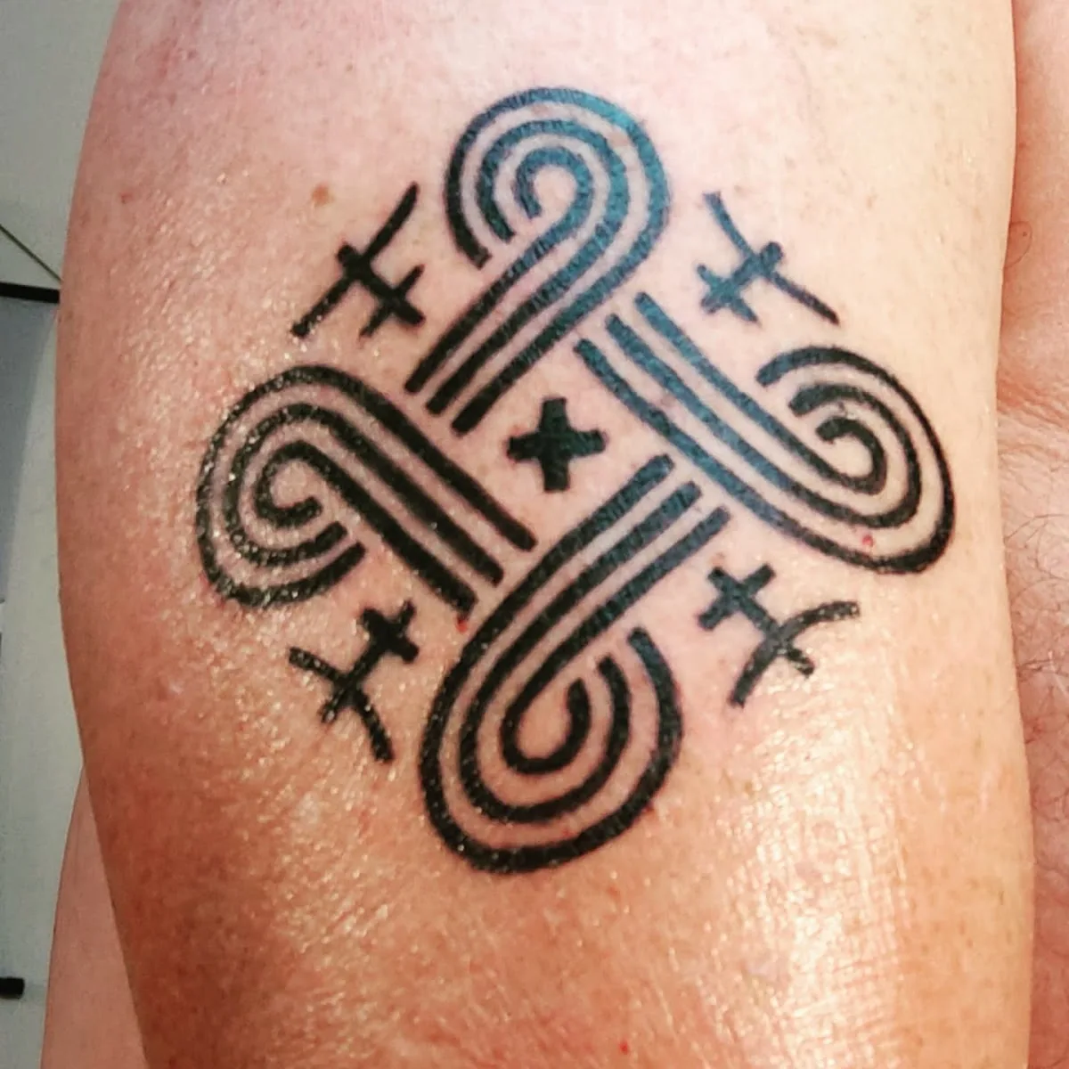 Taiga Ink