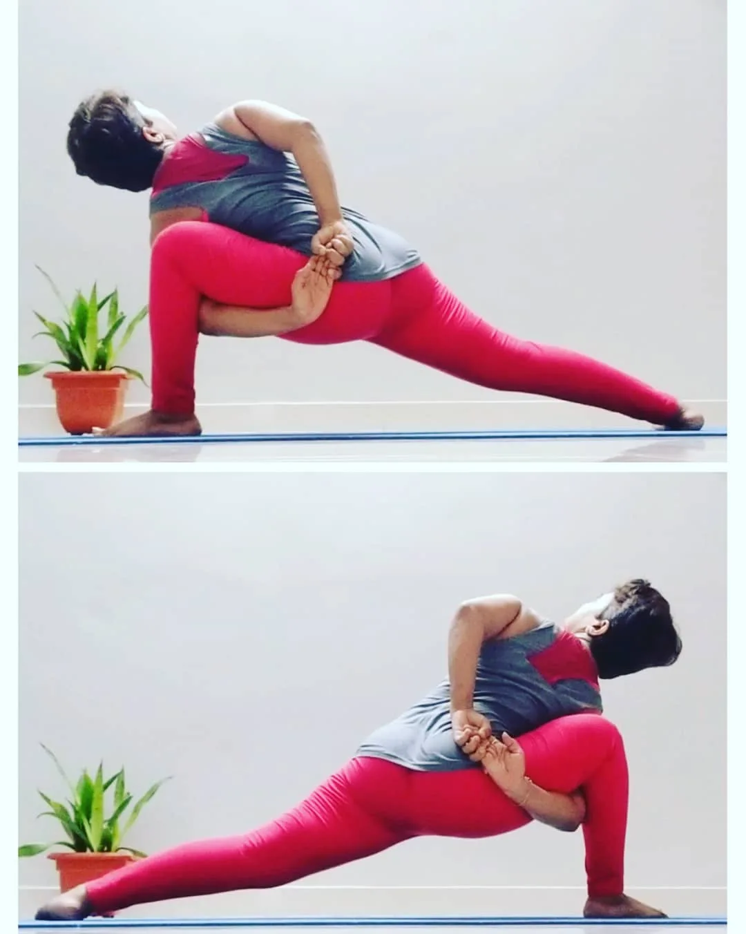 Pran Yoga & Meditation Studio