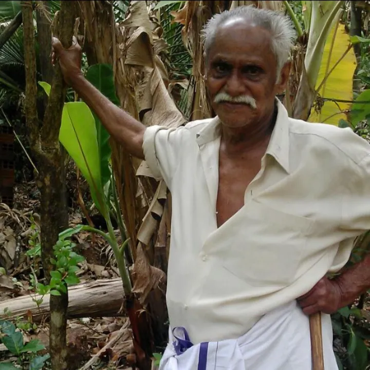 Kerala Ayurvedic massage